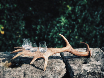 Fallow Antler Whisky Flight — 4 Glencairn Glass Gift