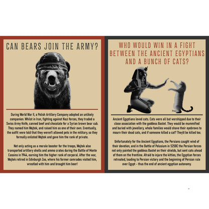 Curious Man Thoughts - Funny Gift Book - Novelty Men's Gift