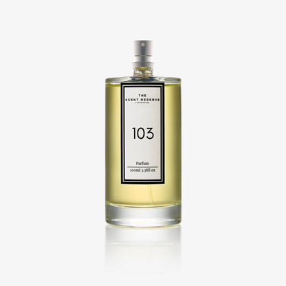 103 - Inspired by One Million (Male) Perfume Fragrance